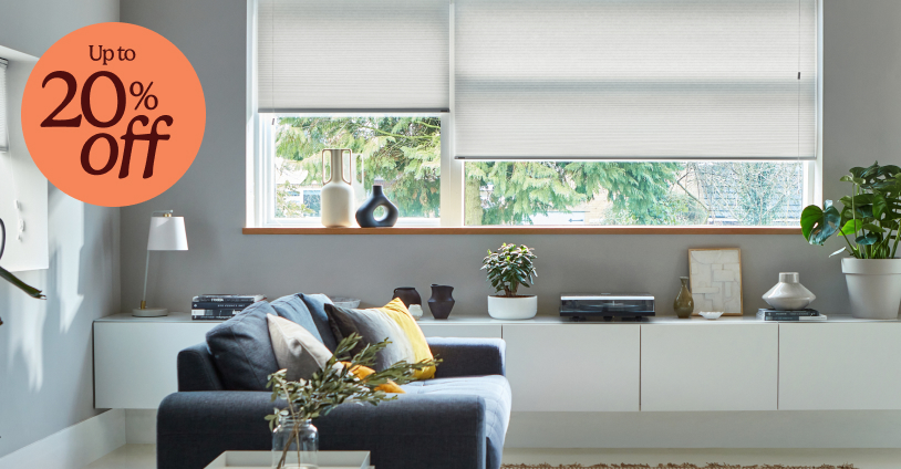 Pleated blinds